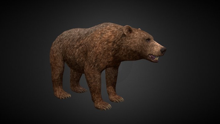 3D Brown Bear 3D Model
