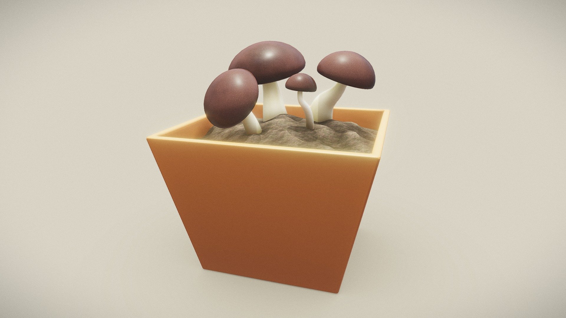 3December2021 Day 1 Mushroom