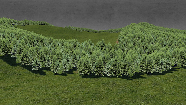 Wald 3D Model