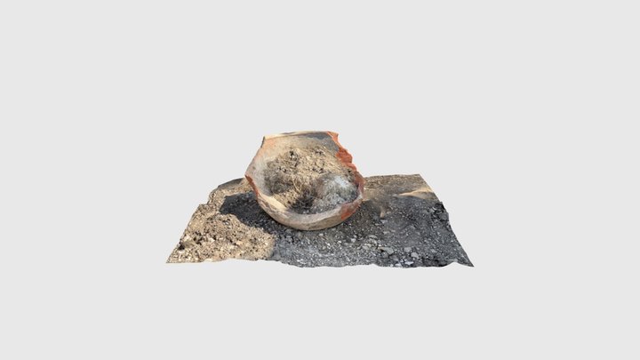 Vessel 3D Model