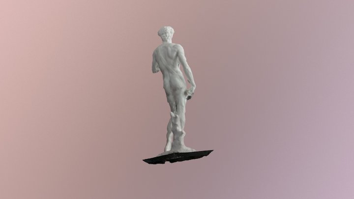 david_1_local_reference 3D Model