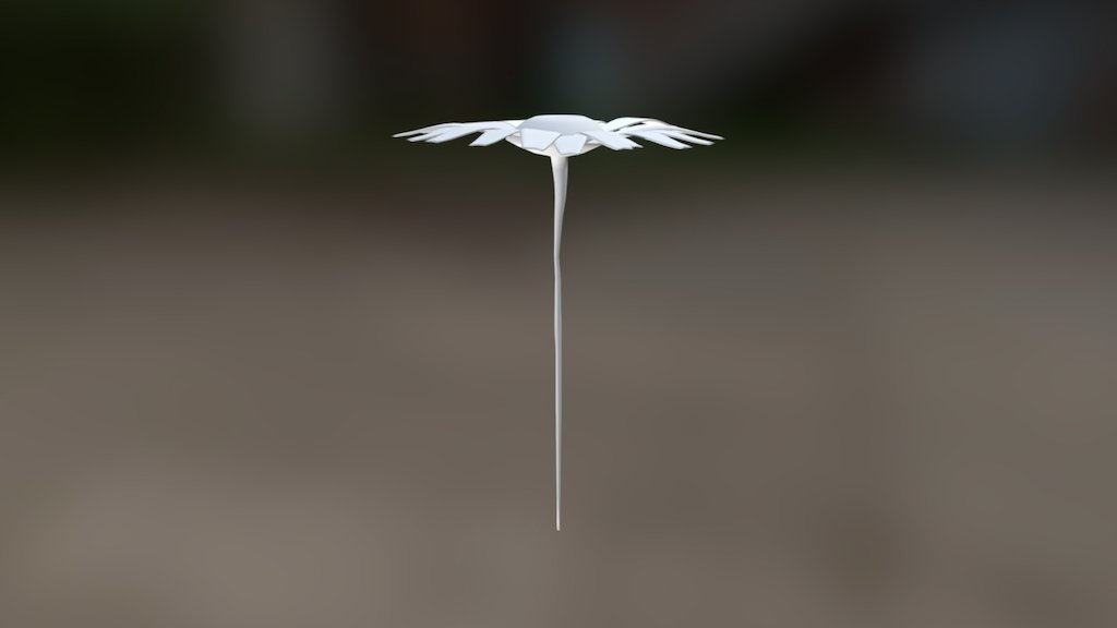 Daisy - 3D model by jvilja [de5b503] - Sketchfab