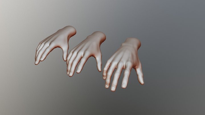 VR Hand Test 3D Model