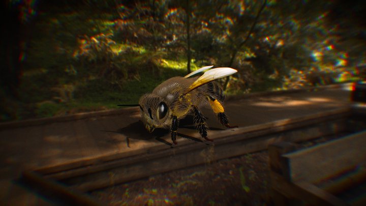 Abeja N 3D Model