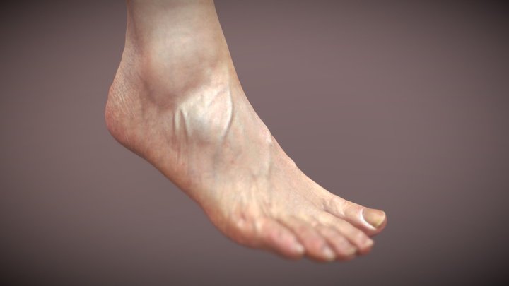 pie humano 3D Model