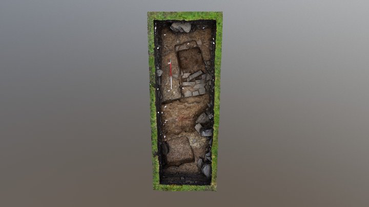 Conwy Vicarage Garden 3D Model