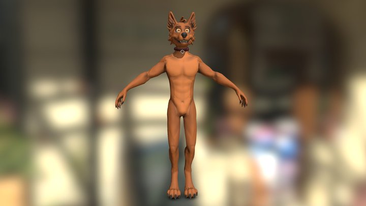body 3D Model