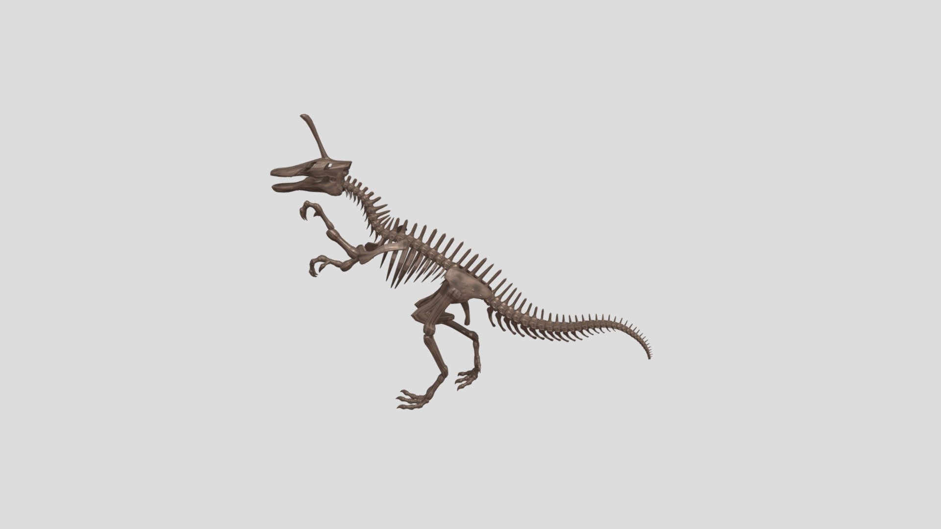 Tsintaosaurus skeleton - Download Free 3D model by theimpossible ...