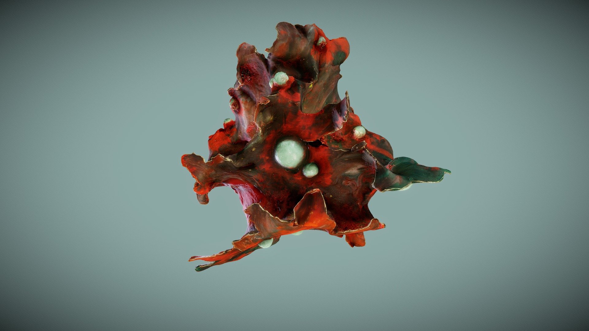 SOFT TISSUE — Sketchfab embed 3D viewer