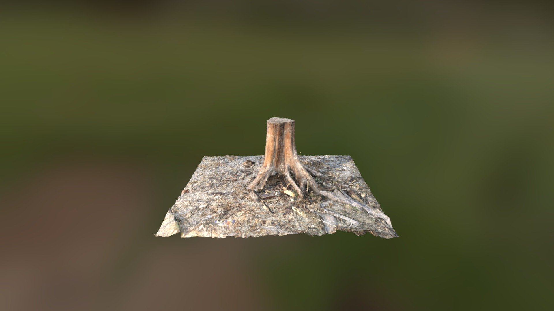 Stump Tree