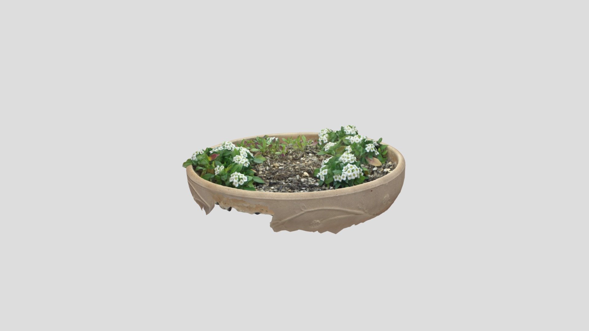 Flower pot with focus stacking