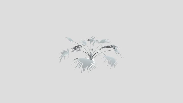 Chinese Palm Wide Plant Potted – Modelo 3D gratuito STL