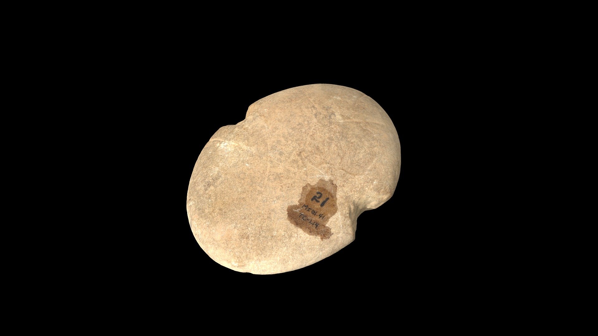 Prehistoric Notched Net sinker - 3D model by danderson4 [de6e477 ...