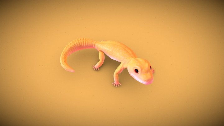 lizard eublefar 3D Model