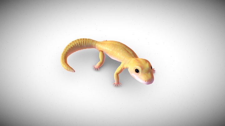 eublefar 3D Model