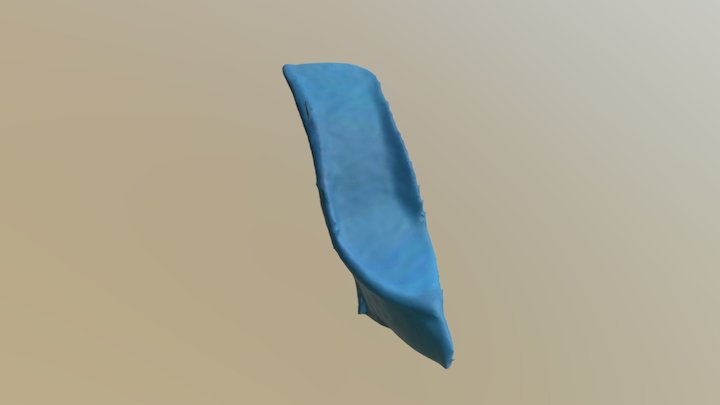 3DScan-Shoes-blue 3D Model
