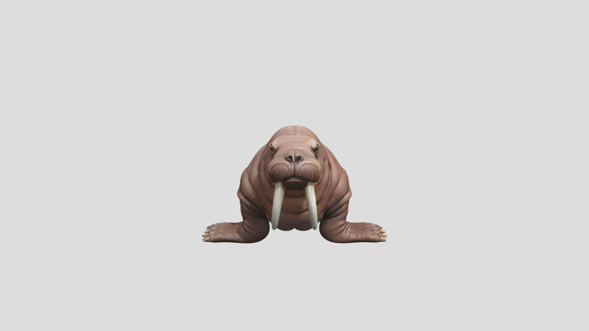 A walrus model - Download Free 3D model by Ghosttisti [de71e6c] - Sketchfab