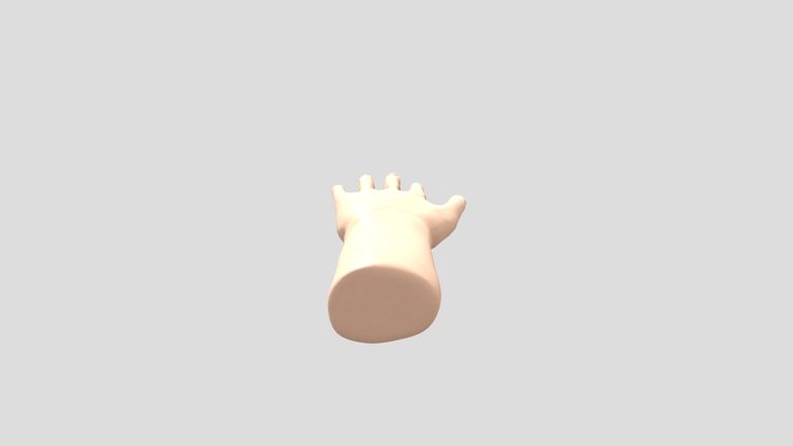 My hand 3D Model