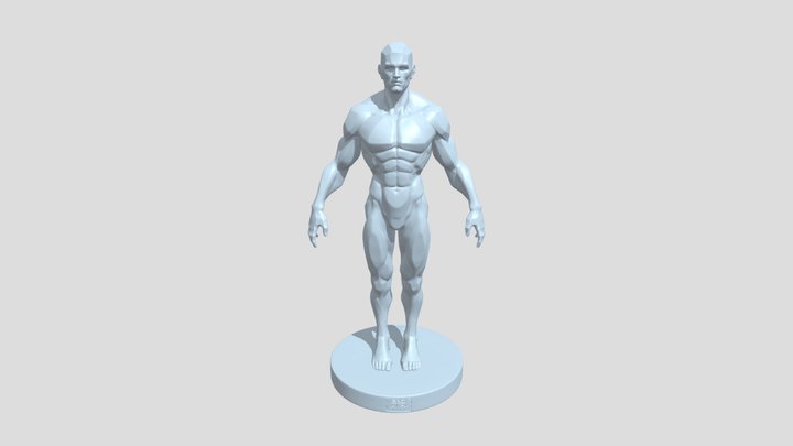 planeshapes_malefigure 3D Model