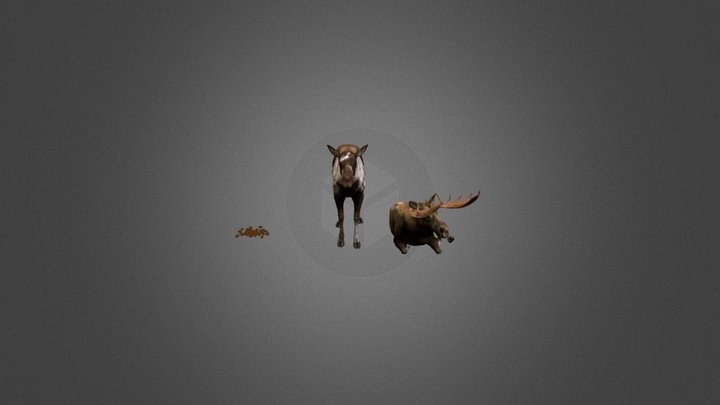 moose male, female and droplings from COTW game. – Modello 3D gratuito STL