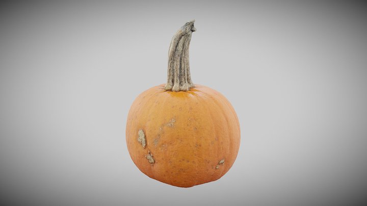 Small Pumpkin (Photogrammetry) 3D Model