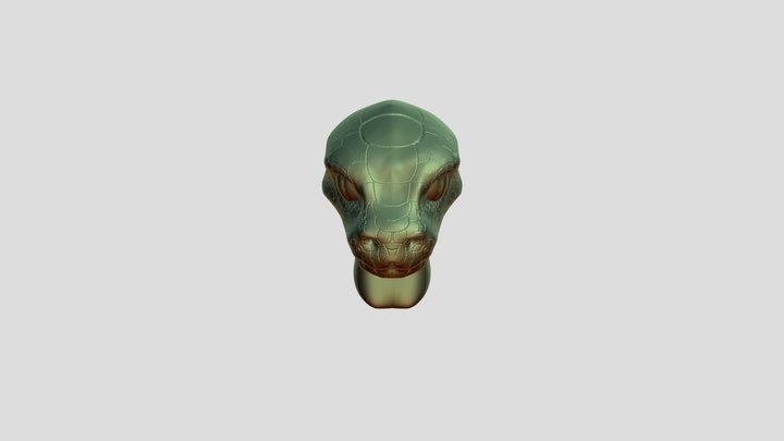 Dragon Head Test 3D Model