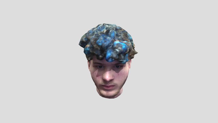 Jmancurly head 3D Model