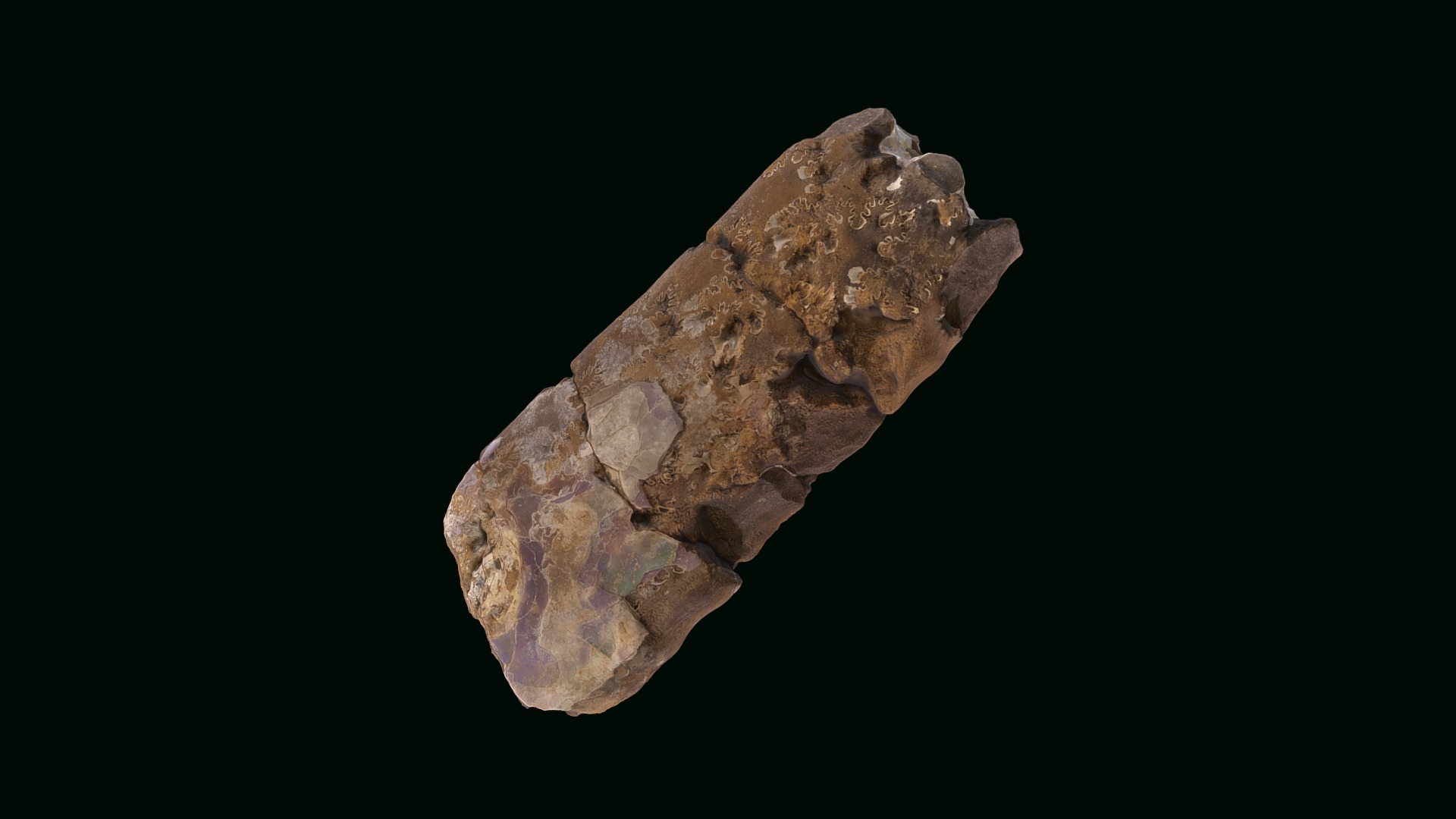3D model Baculites rugosus D2193 - This is a 3D model of the Baculites rugosus D2193. The 3D model is about a rock with a dark background.