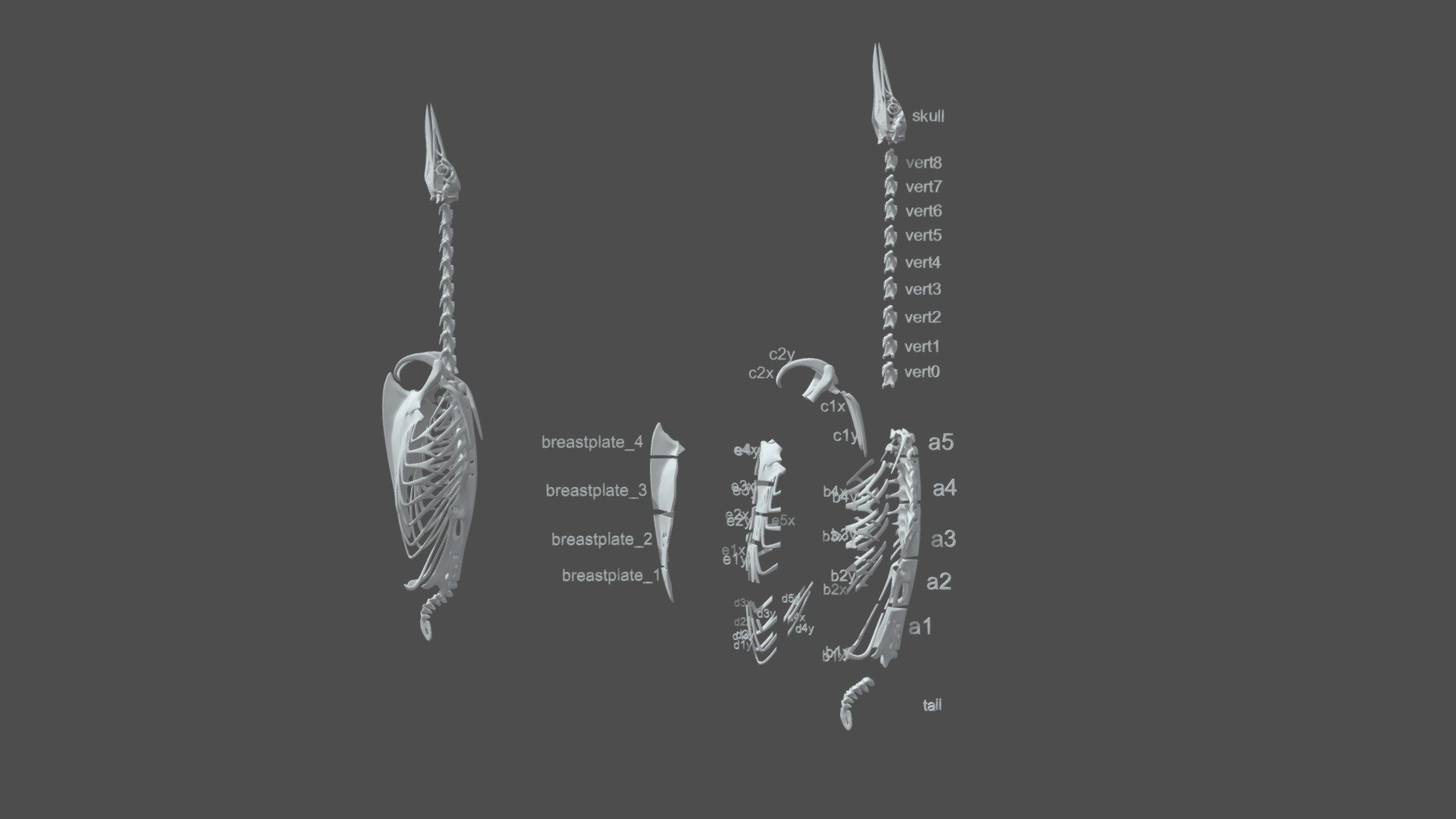 Ribcage Production