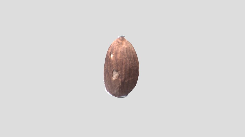 nuts