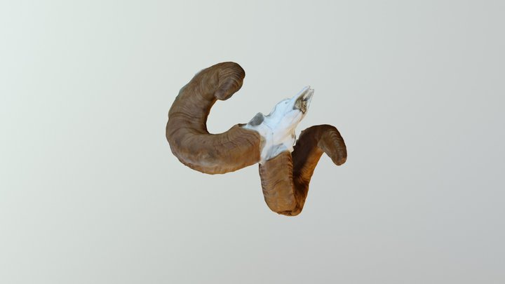 bovey 3D Model