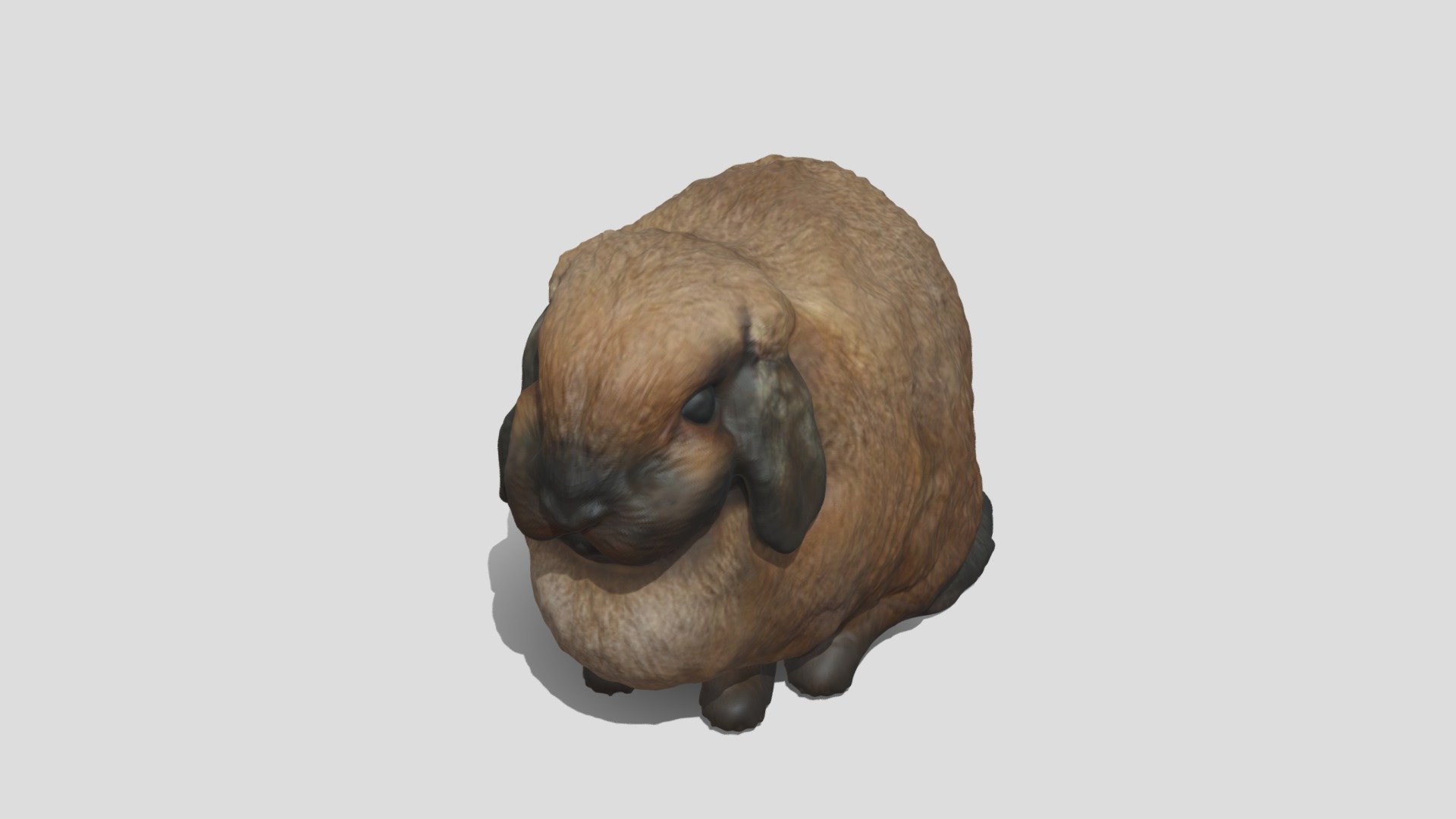 Rabbit - 3D model by monostudio [de8a5d4] - Sketchfab
