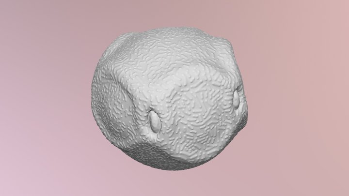 Alnus Pollen model 3D Model
