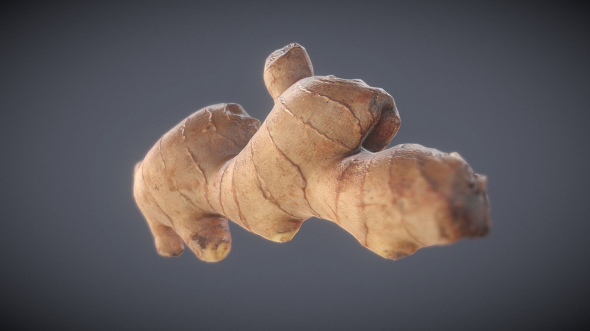 3D model Ginger Scan - This is a 3D model of the Ginger Scan. The 3D model is about a small brown animal.
