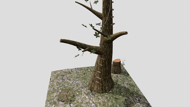 Forest diorama 3D Model