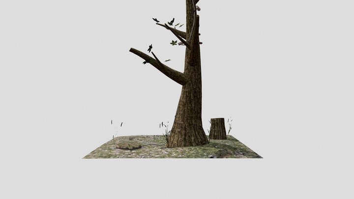 Forest diorama 3D Model