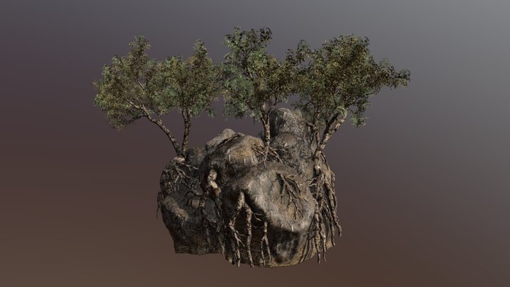 Stone Rock(part7)