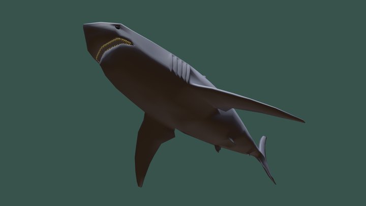 Shark Low Poly 3D Model