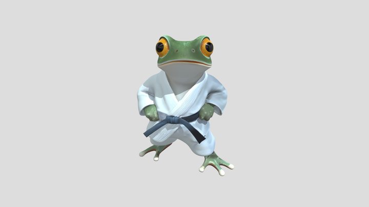 Frog in martial arts clothing 3D Model