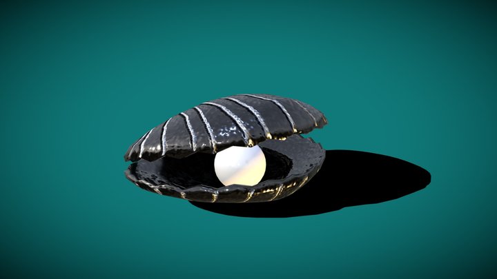 Clamshell 3d Models Sketchfab