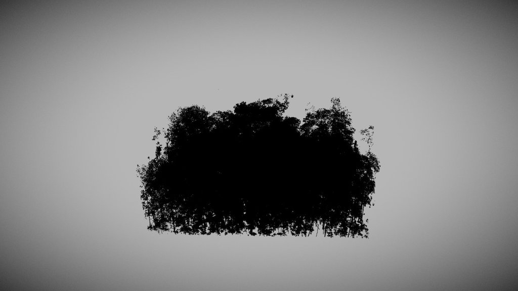 AmazonFACE (ring 2) - Wood-Leaf separated scene