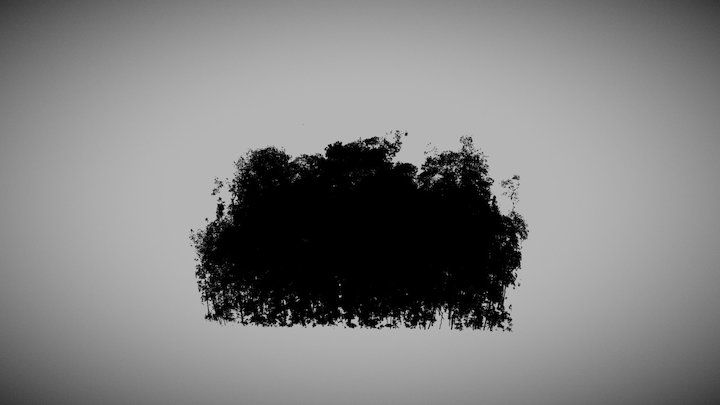AmazonFACE (ring 2) - Wood-Leaf separated scene 3D Model