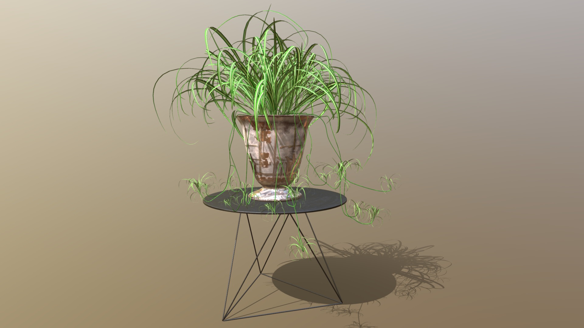 3D model Indoor plant / Chlorophytum comosum ‘Vittatum’ - This is a 3D model of the Indoor plant / Chlorophytum comosum 'Vittatum'. The 3D model is about diagram.