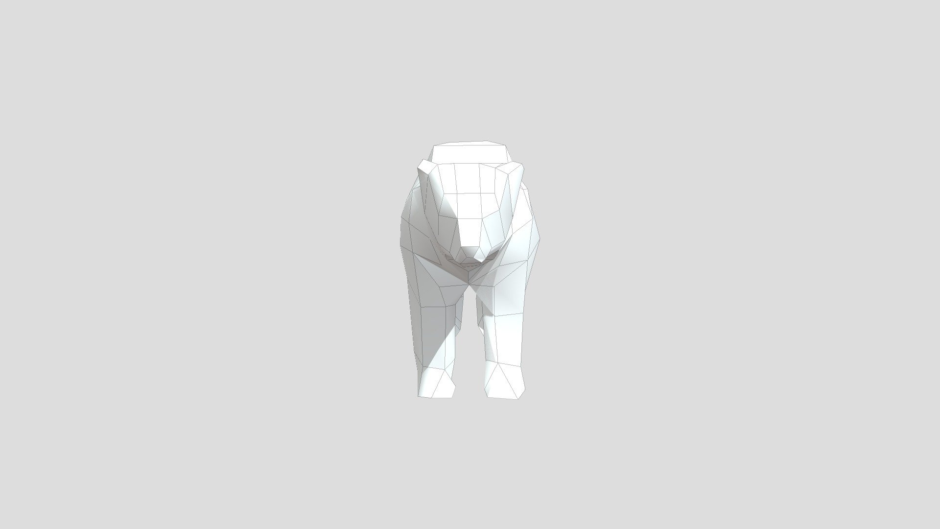 bear