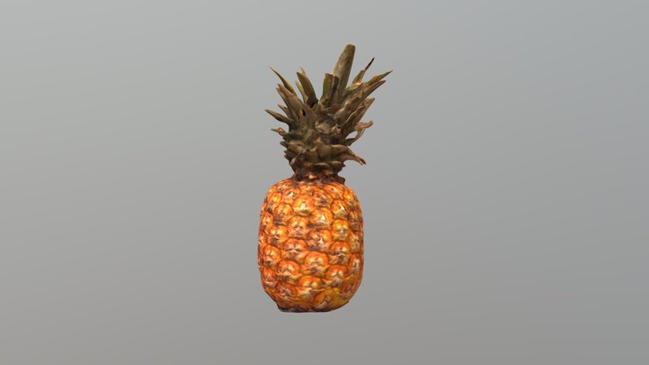Photogrammetrie - Ananas 3D Model