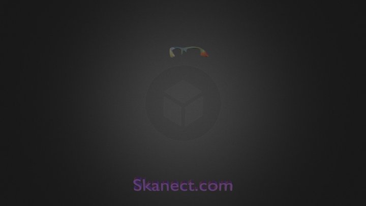 Skanect glasses 3D Model