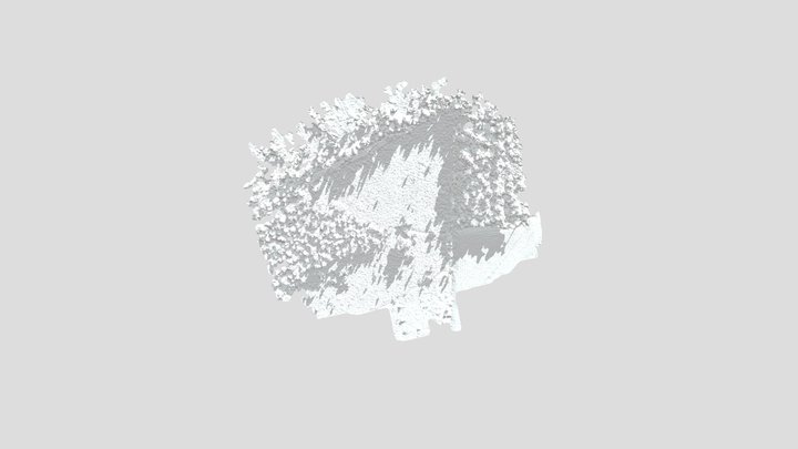 1-2023-1031-25-01_simplified_3d_mesh 3D Model