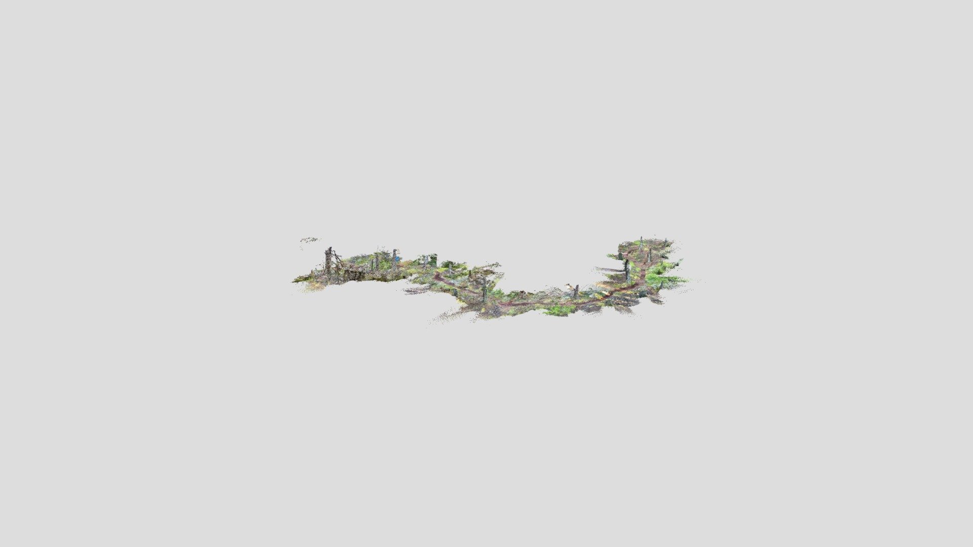 Forest Hiking Path - SiteScape 3D Scan