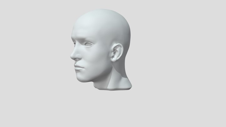 Male Head Sculpt 3D Model