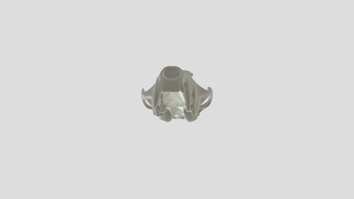 Fox Skull simplified 3D Model